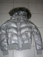 Lady Sting (april evil) winterjas(M valt als S), Lady sting, april evil, Ophalen of Verzenden, Gedragen, Maat 36 (S)