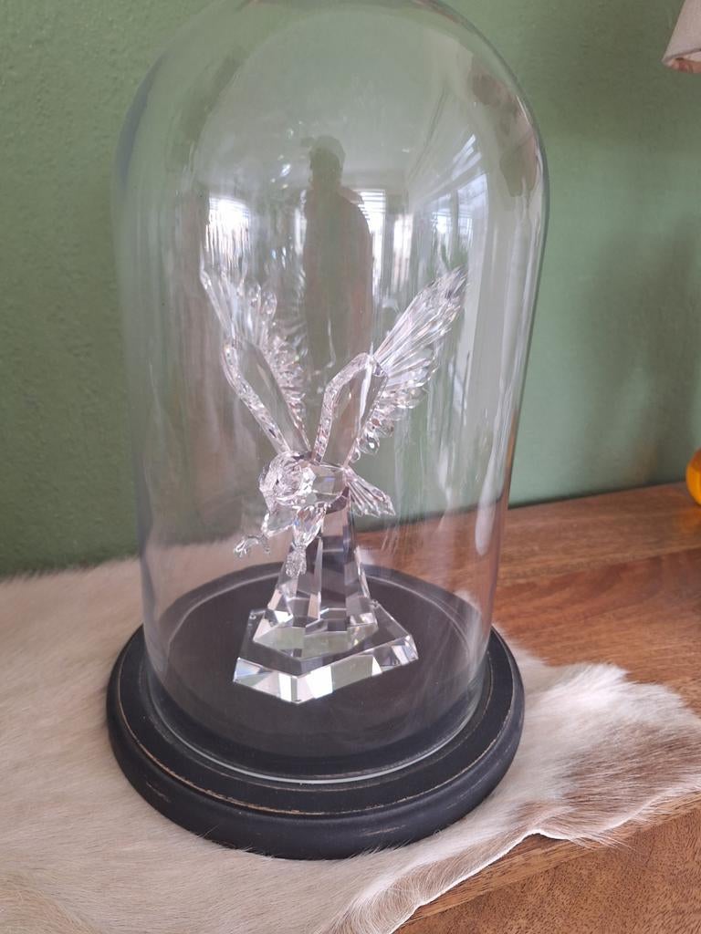 Christallen adelaar, Ophalen