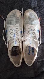 Nike Air Zoom Victory Spikes Maat 43 met Carbon Plaat, Ophalen of Verzenden, Gedragen, Nike, Sportschoenen