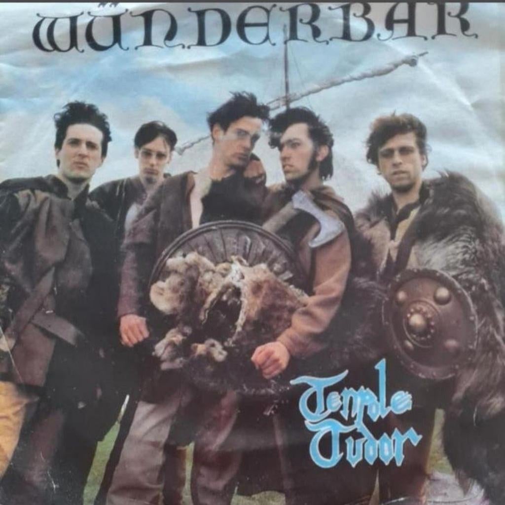 TENPOLE TUDOR - WUNDERBAR, Ophalen of Verzenden, Gebruikt