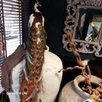 Unieke landelijke decoratie: mineralen, potten, kisten, Gebruikt, Ophalen of Verzenden, Info@voorbeeld.nl, Niet van toepassing, diverse bronnen