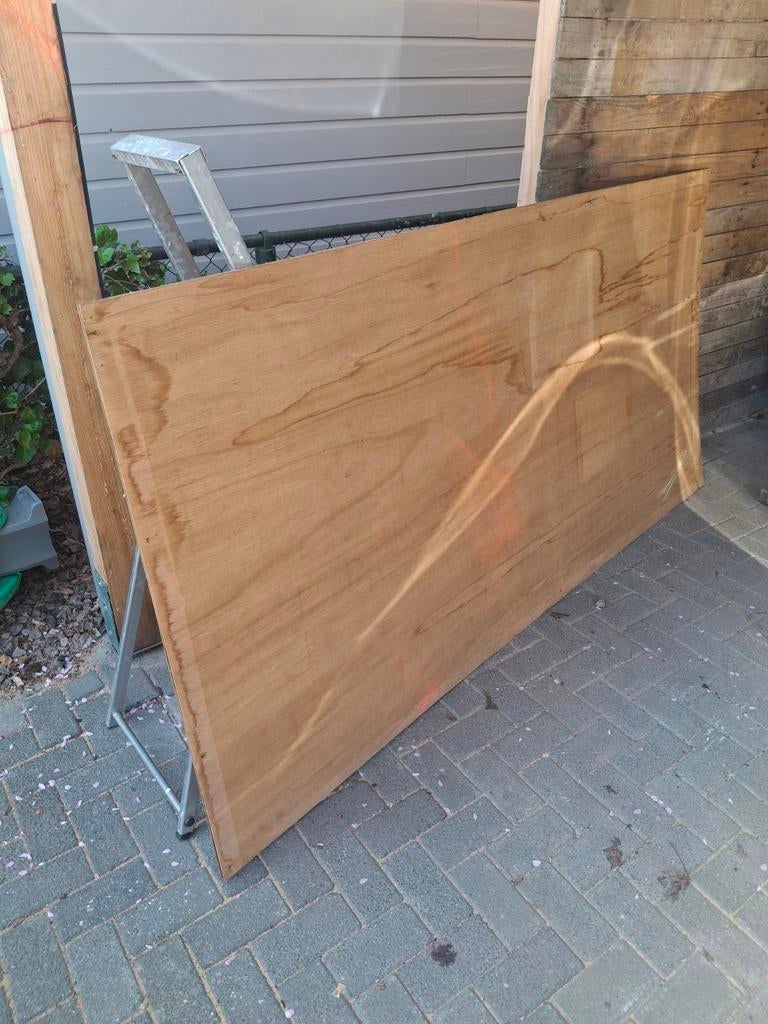 Grote houten plaat, multiplex/triplex, Ophalen, Gebruikt, 25 tot 50 mm, 200 tot 250 cm
