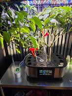 Letpot max met accessoires, Ophalen, Kweektent