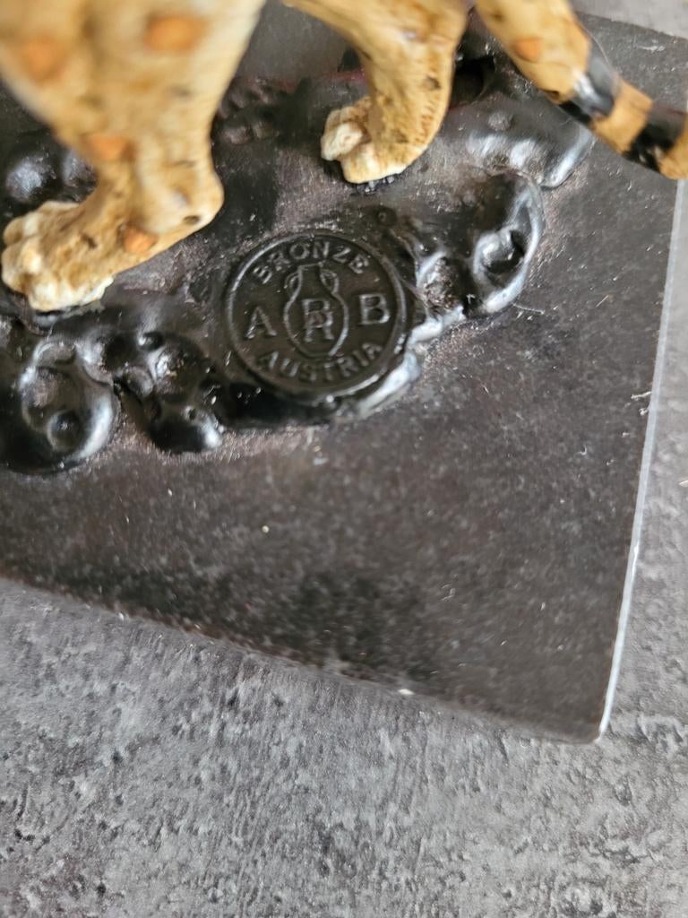 cheeta brons austria bergman wenen, Ophalen of Verzenden, Zo goed als nieuw, Dame, Goud