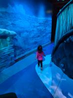 Oppas aangeboden (geen gastouder), Ophalen