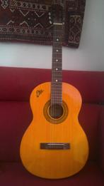 Eko gitaar (jaren zestig), Ophalen, Gebruikt, Western- of Steelstringgitaar