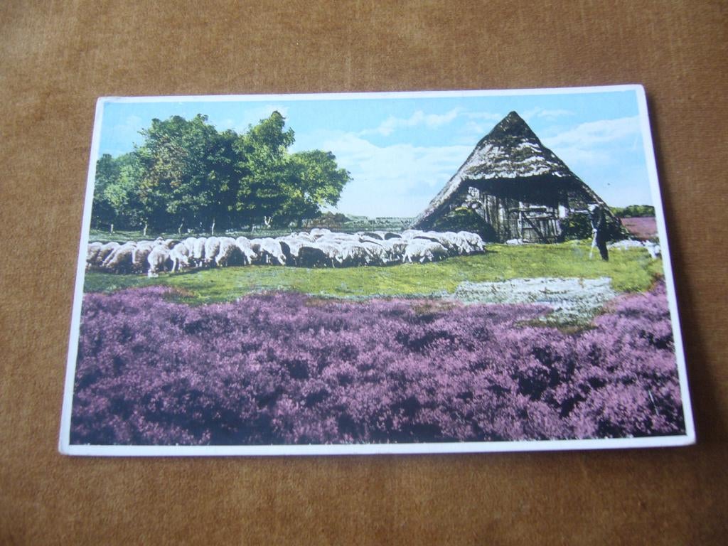 VELUWE ?  =  SCHAAPSKOOI - HERDER MET SCHAPEN   1933, Ophalen of Verzenden, 1920 tot 1940, Gelopen, Gelderland