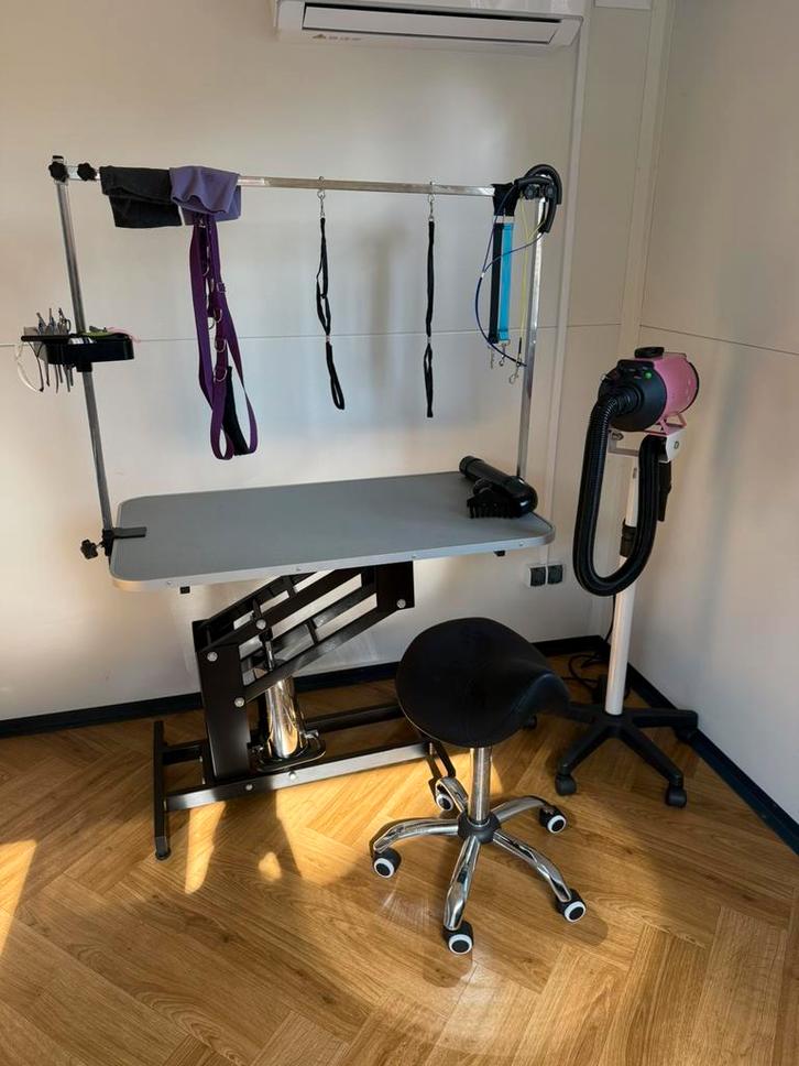 Complete trimsalon, Dieren en Toebehoren, Honden-accessoires, Ophalen