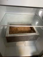 Verse vismaden te koop, Watersport en Boten, Hengelsport | Witvissen, Overige typen, Nieuw, S, H