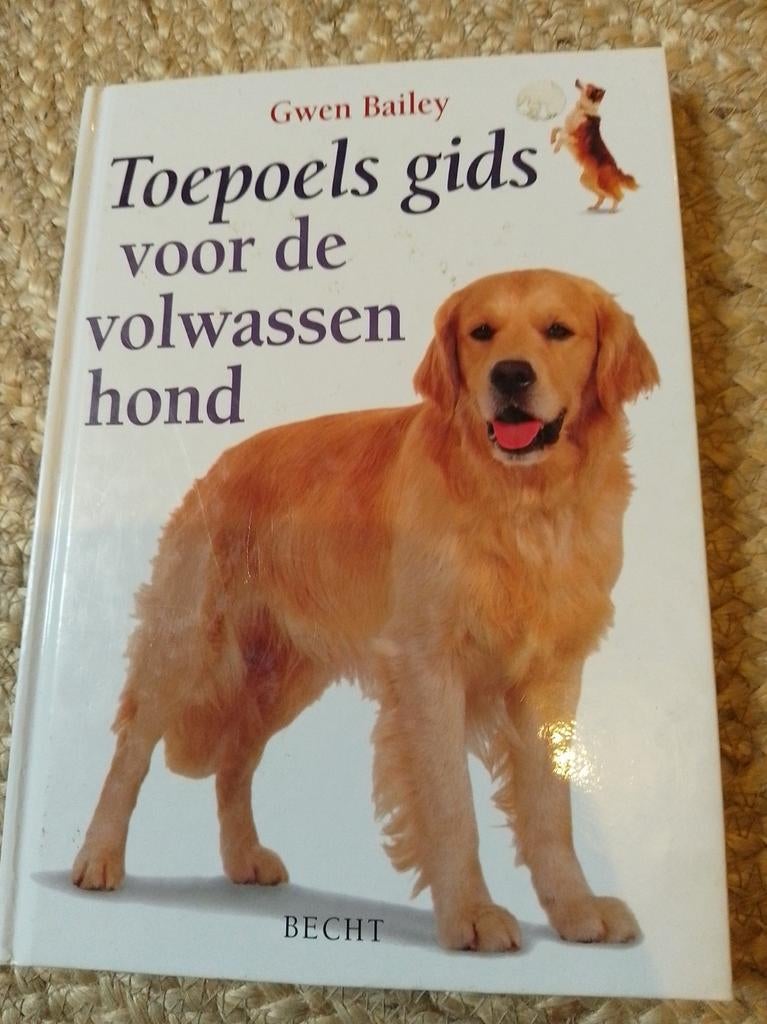 Toepoels gids voor de volwassen hond, Ophalen of Verzenden