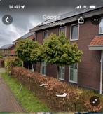 3x Bolesdoorn, Tuin en Terras, Planten | Bomen, 100 tot 250 cm, Zomer, Ophalen, Volle zon