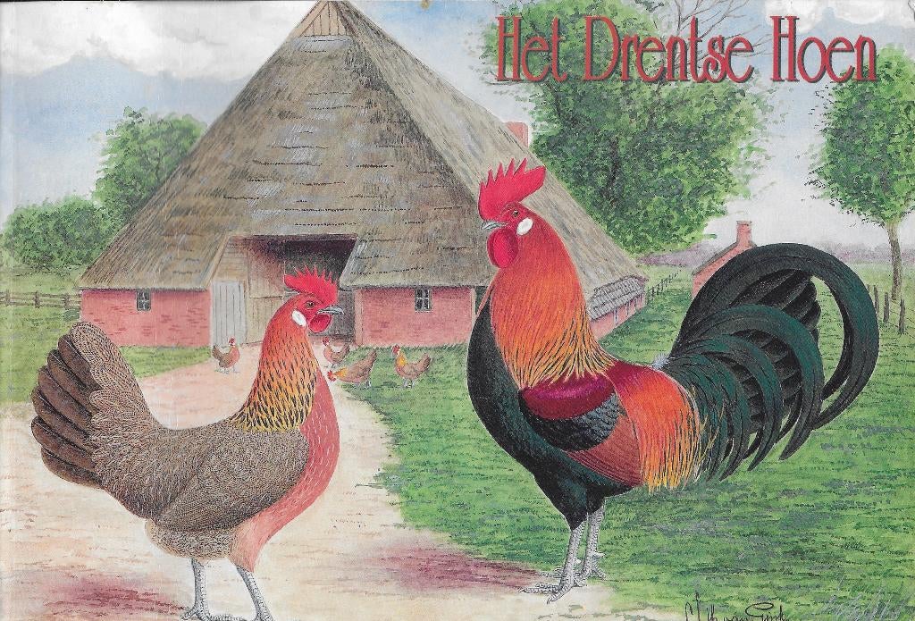 Het Drentse Hoen, een  handleiding voor het fokken, Ophalen of Verzenden, Zo goed als nieuw