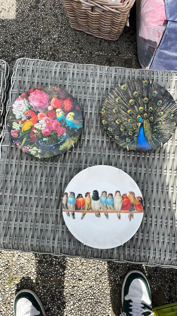 Vogel muur bordjes, Ophalen of Verzenden, Zo goed als nieuw