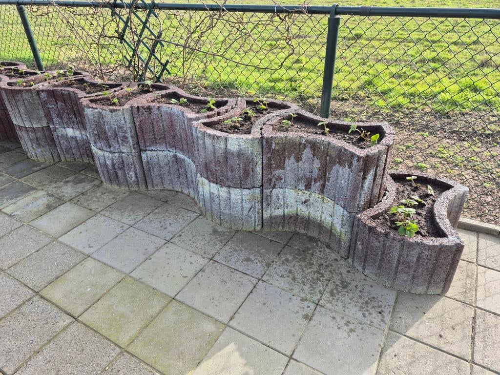 Betonnen plantenbakken - Gezocht, Tuin en Terras, Bloembakken en Plantenbakken, Ophalen, Gebruikt, Beton, Tuin