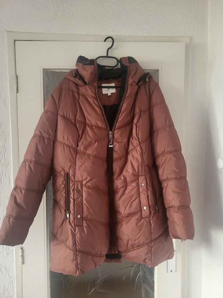 Bruine jas costline maat 48 nooit gedragen, Kleding | Dames, Jassen | Winter, Ophalen of Verzenden, Nieuw, Maat 46/48 (XL) of groter