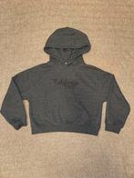 ZARA Meisjes Sweatshirt met capuchon, Kinderen en Baby's, Ophalen of Verzenden, Zo goed als nieuw, Meisje