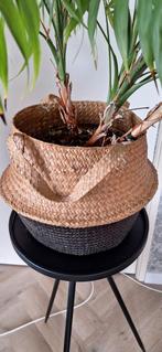 Rieten mand, Ophalen of Verzenden, Rond, Riet