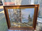 Olieverf schilderij, landscha bos van JonFS, TonFS?, Antiek en Kunst, Kunst | Schilderijen | Klassiek, Ophalen