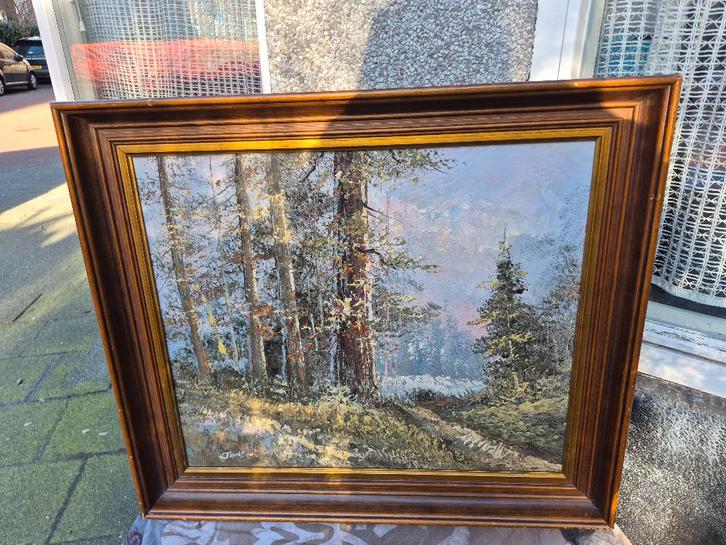 Olieverf schilderij, landscha bos van JonFS, TonFS?, Antiek en Kunst, Kunst | Schilderijen | Klassiek, Ophalen