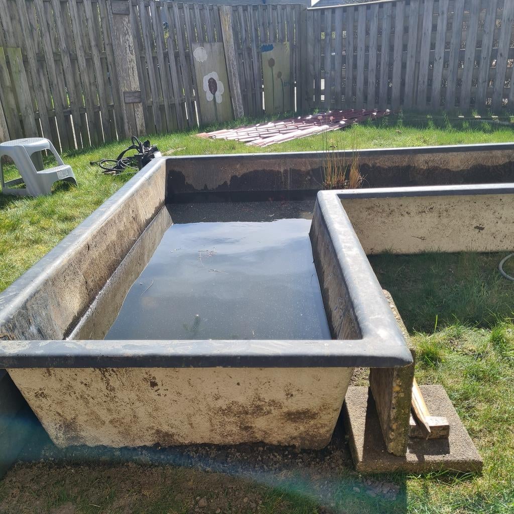 Gezocht vijvervissen en hoornblad, Tuin en Terras, Ophalen