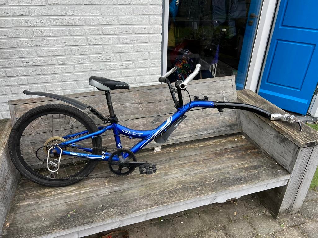 aanhang kinder fiets giant, Fietsen en Brommers, Fietsaccessoires | Aanhangers en Karren, Ophalen, Gebruikt, Aanhangfiets, Giant