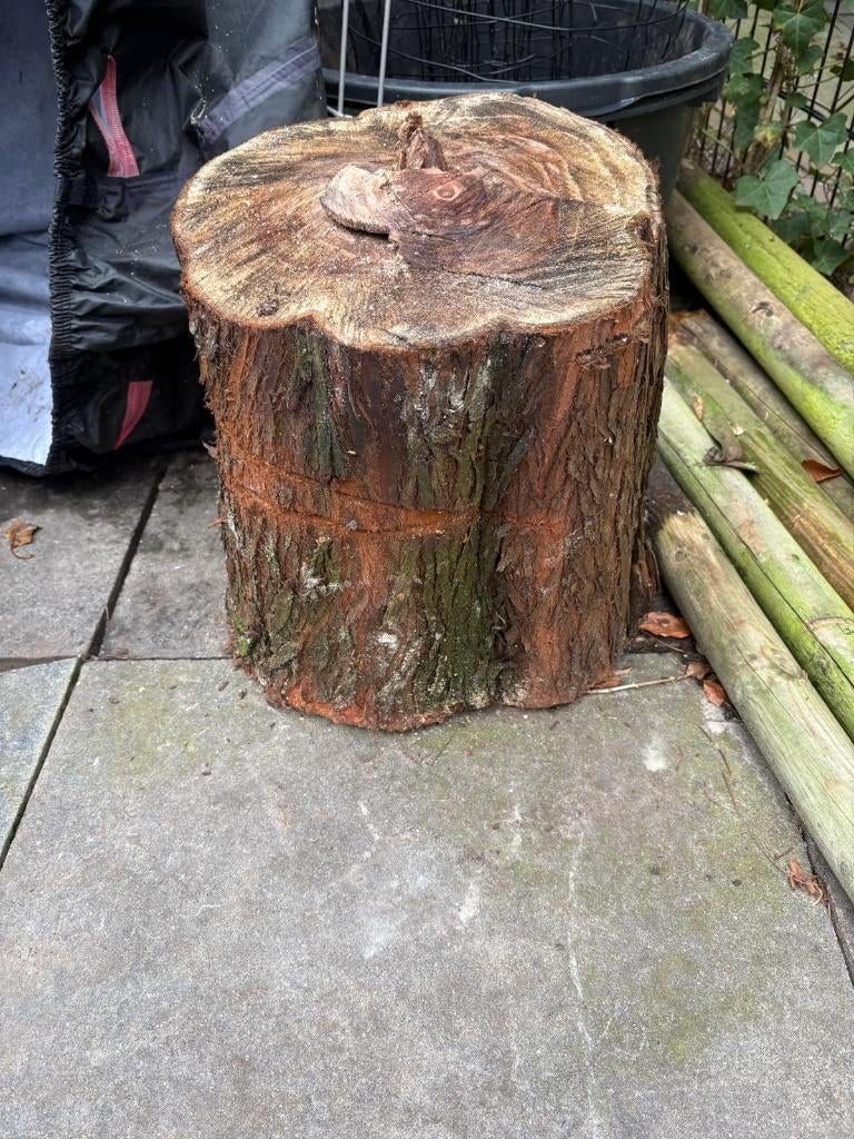 haardhout (sequoia), Tuin en Terras, Haardhout, Minder dan 3 m³, Ophalen, Overige houtsoorten, Stammen
