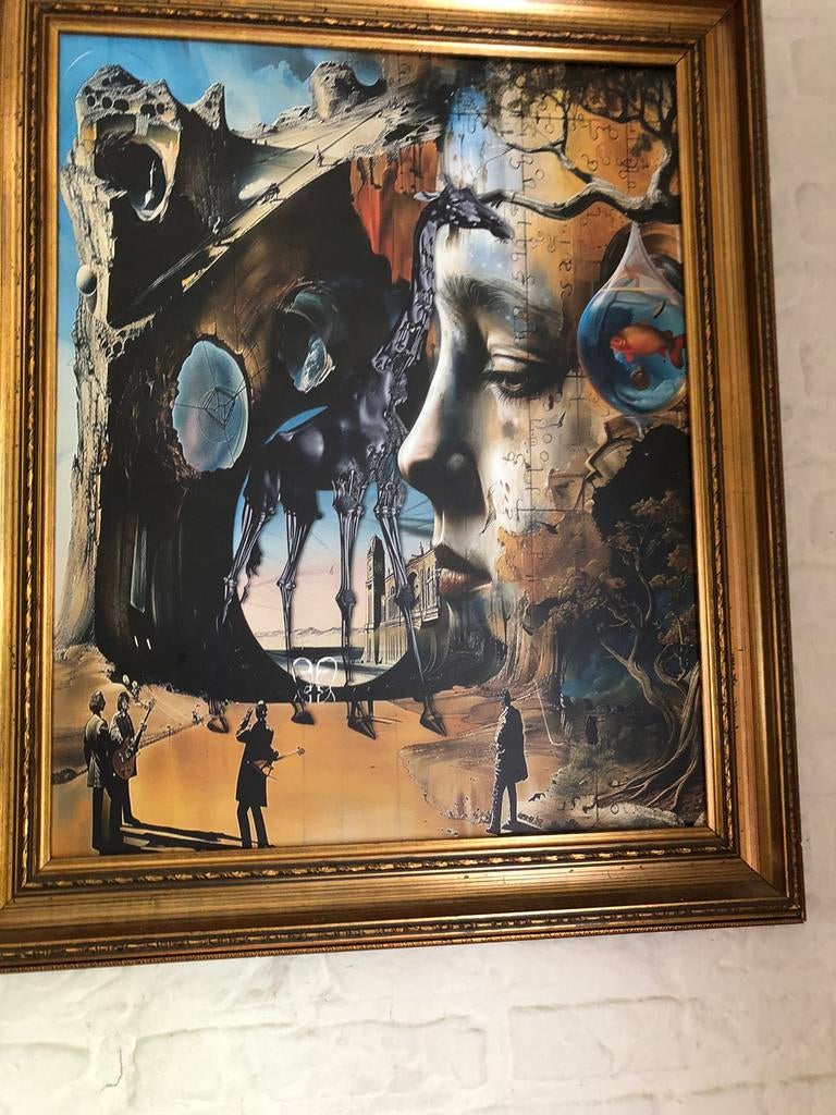 Salvator dali, Antiek en Kunst, Ophalen of Verzenden
