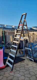 Altrex Dirks Solide professionelle trappen, Ophalen