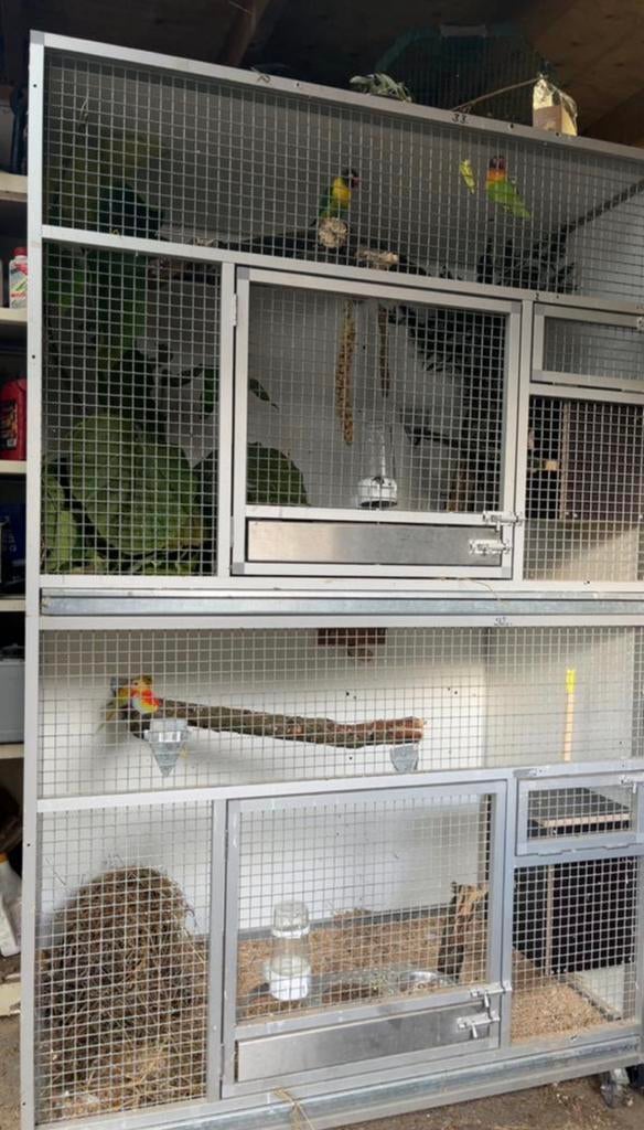 Kweekkooi/broedkooi, Ophalen of Verzenden, Zo goed als nieuw, Hout, Broedkooi of Kweekkooi