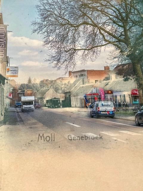 Grote bewerkte foto Moll Genebroek. Tinne Vansand 2021., Ophalen