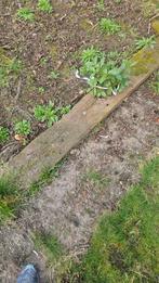 Gebruikte spoorbielzen voor tuin of landschap, Tuin en Terras, Ophalen, Gebruikt, Biels, 200 cm of meer