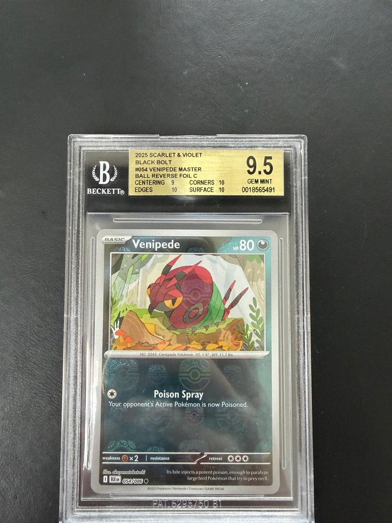 Venipede black bolt - master ball 054/086 Beckett 9.5, Ophalen of Verzenden, Zo goed als nieuw