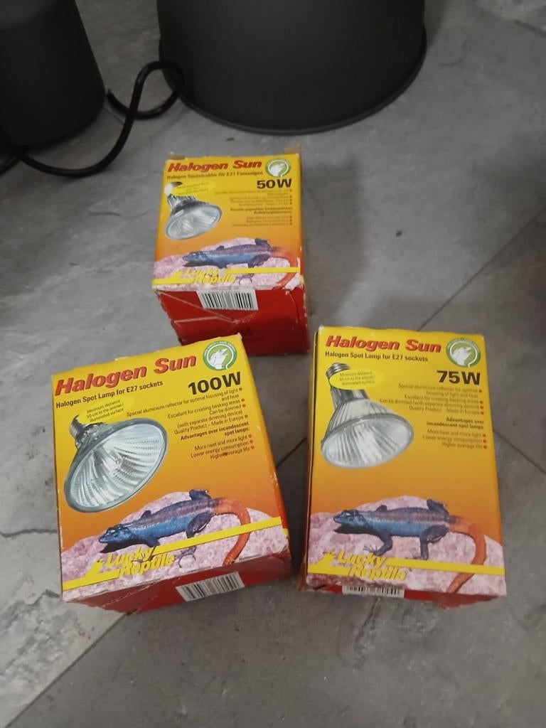 3 halogeen warmtelamp 50 75 en 100 w, Dieren en Toebehoren, Reptielen en Amfibieën | Toebehoren, Ophalen