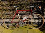 Colnago Super Saronni ±1983, Maat 58/59, full Campagnolo, Ophalen of Verzenden, Gebruikt, Overige typen