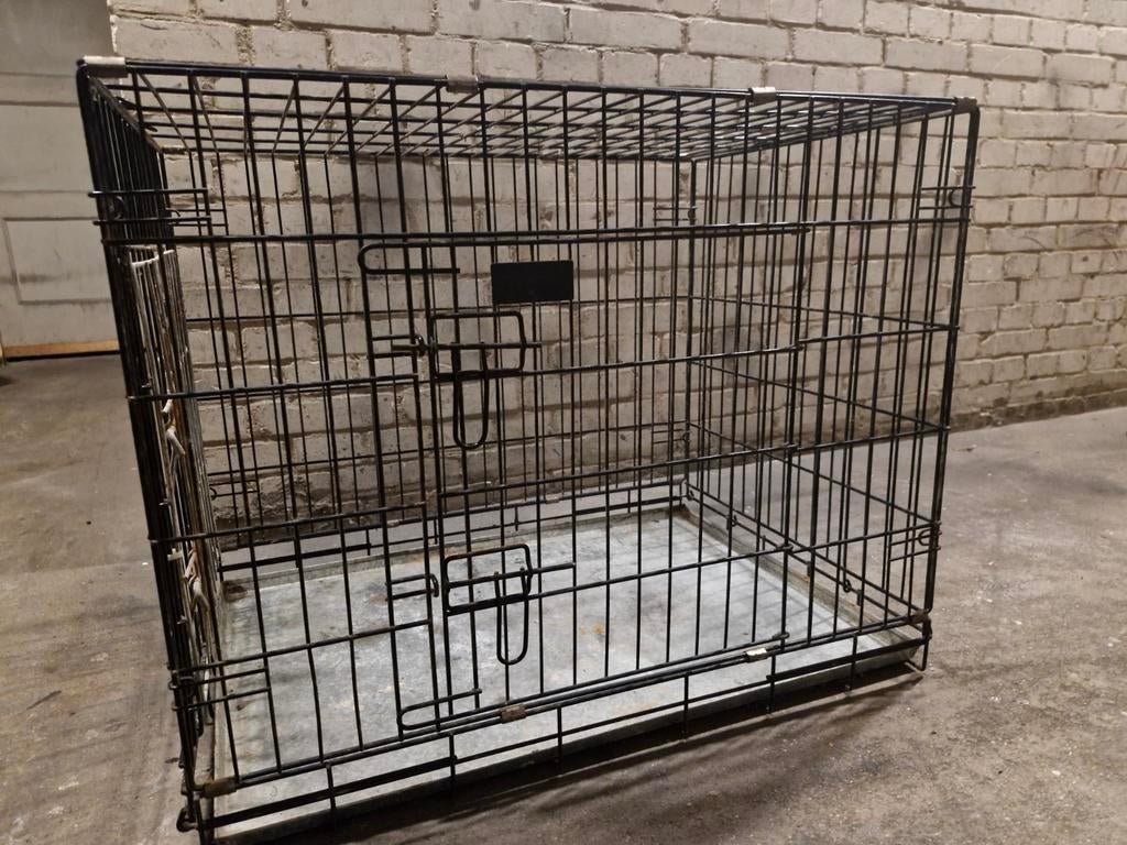 Te koop,Hond bench., Dieren en Toebehoren, Ophalen, Zo goed als nieuw