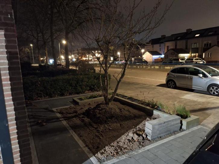 Zwarte grond, Tuin en Terras, Aarde en Mest, Tuinaarde, Ophalen of Verzenden