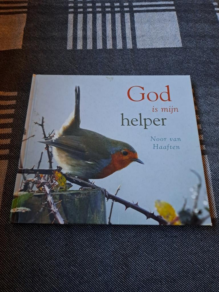 God is mijn helper - Noor van Haaften, Boeken, Ophalen of Verzenden, Zo goed als nieuw, Noor van Haaften, Christendom | Protestants