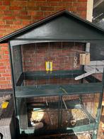 Vogelkooi, Dieren en Toebehoren, Vogels | Hokken en Kooien, Ophalen of Verzenden, Gebruikt, Metaal, Vogelkooi