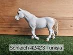 Schleich 42423 Dartmoor merrie uit 2018, Ophalen of Verzenden, Zo goed als nieuw, Paard, Beeldje of Figuurtje