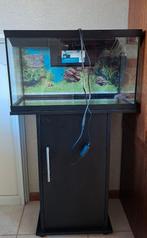 Juwel aquarium, Ophalen, Gebruikt, Leeg aquarium, Juwel