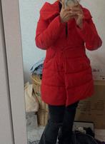 Dames jas maat M - Gedragen, Kleding | Dames, Jassen | Winter, Ophalen of Verzenden, Gedragen, Maat 38/40 (M)