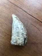 Replica potvis tand, Ophalen of Verzenden, Fossiel