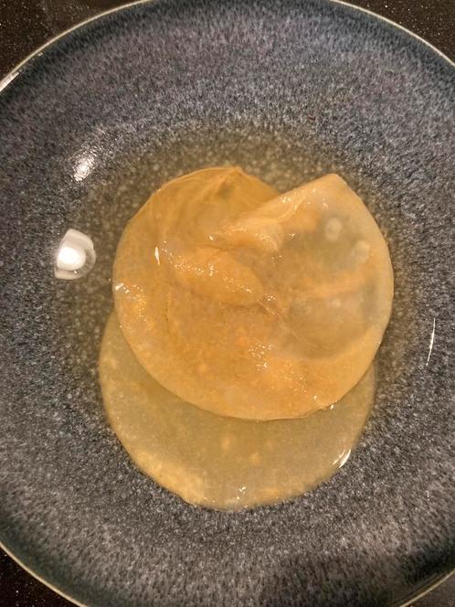 Kombucha Scoby met start vloeistof, Diversen, Levensmiddelen, Ophalen
