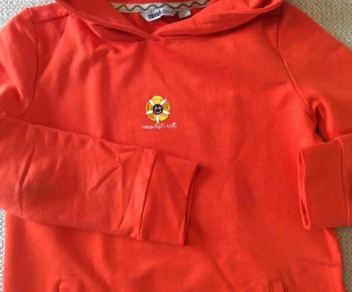 2x merk hoodie trui meisjes 140 / 146, Kinderen en Baby's, Kinderkleding | Maat 140, Zo goed als nieuw, Meisje, Trui of Vest, Ophalen of Verzenden