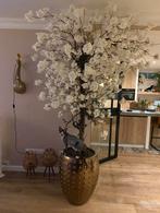 Super mooie bloesemboom, op echt hout !, Huis en Inrichting, Ophalen, Zo goed als nieuw