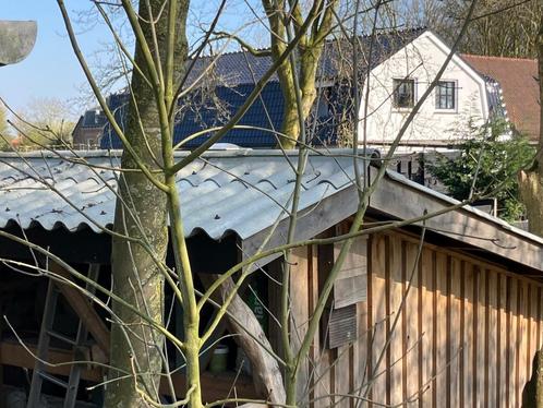 Scharnier nokstukken, Doe-het-zelf en Verbouw, Dakpannen en Dakbedekking, Nieuw, Golfplaat, Overige materialen, Overige kleuren