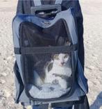 Kat  hond  trolley  rugzak, Dieren en Toebehoren, Ophalen of Verzenden, Zo goed als nieuw