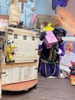 GOOCHEL/MUZIEK PIET OP BEZOEK!, Ophalen of Verzenden, Zo goed als nieuw