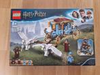 Lego beauxbatons 75958 zgan, Verzenden, Zo goed als nieuw