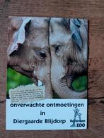 Kaart Onverwachte ontmoetingen in Diergaarde Blijdorp 1996, Ophalen of Verzenden, Voor 1920, Ongelopen, Overige thema's